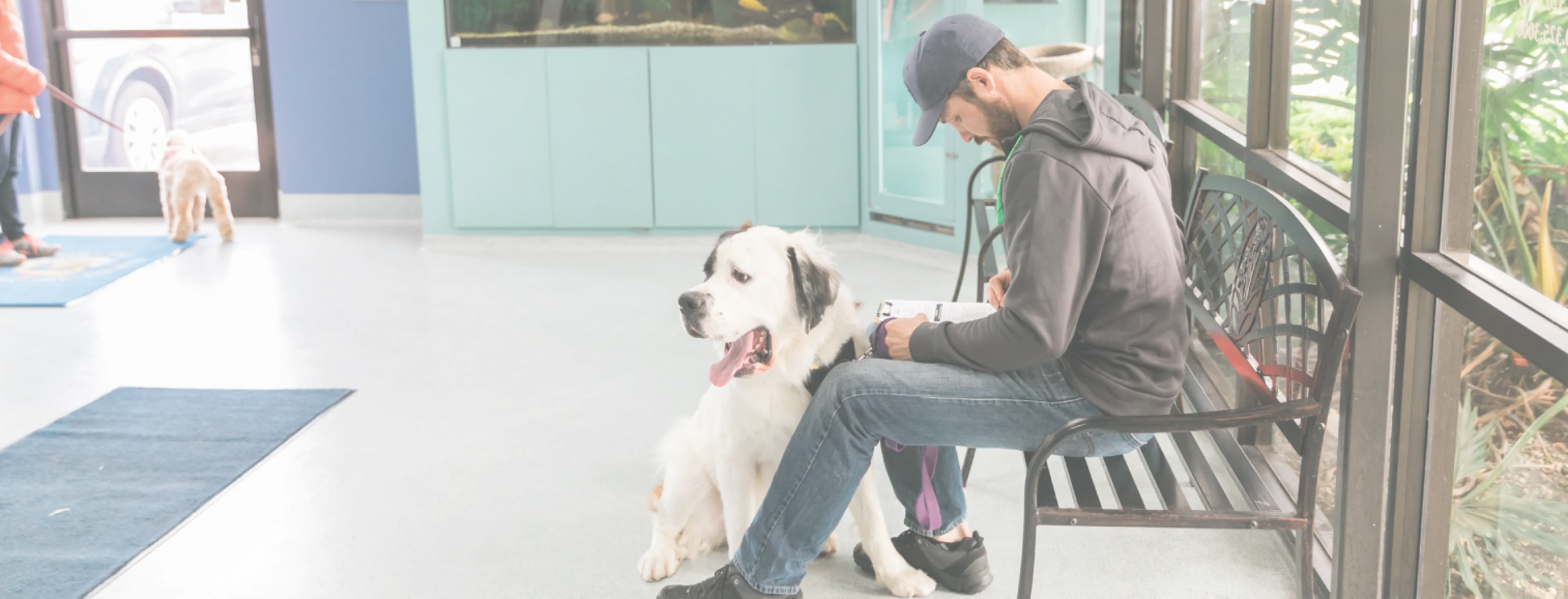 Pet store online bay plaza